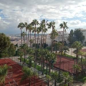 Les faubourgs d'Alger : Bab-El-Oued, avec Safir Benali