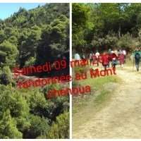 Randonnée au Mont Chenoua (Tipaza) avec Salim Sabour