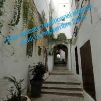 Dîner dansant dans la Casbah avec Salim Sabour