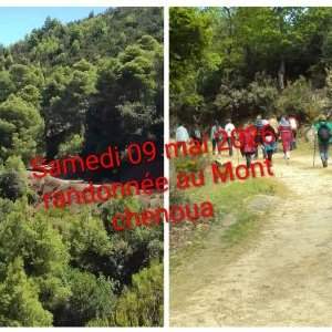 Randonnée au Mont Chenoua (Tipaza) avec Salim Sabour