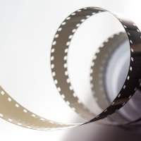 Après-midi cinéma : Les graines du figuier sauvage