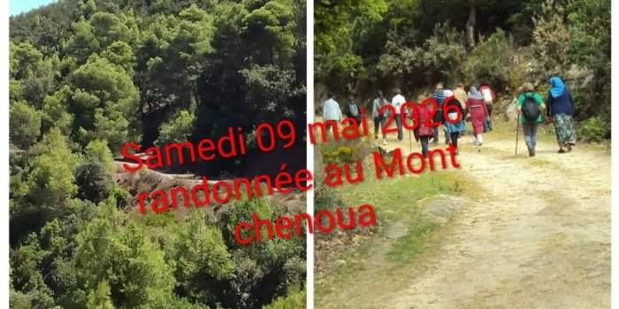 Randonnée au Mont Chenoua (Tipaza) avec Salim Sabour